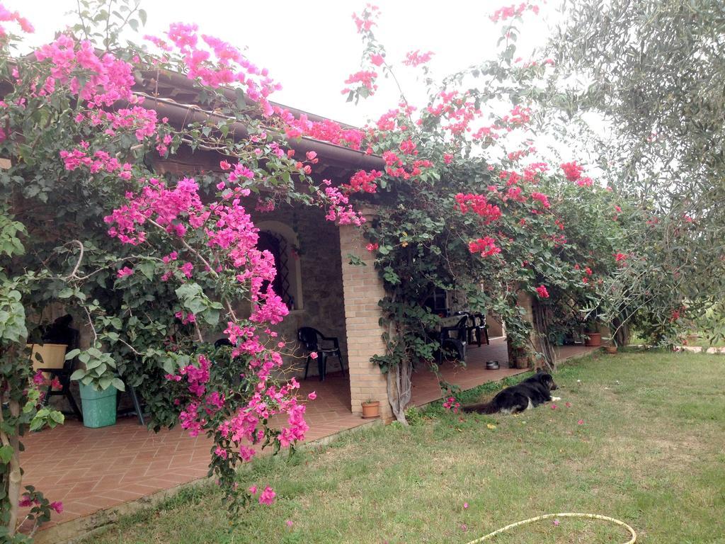 Casa Santina Villa Girasole Oda fotoğraf