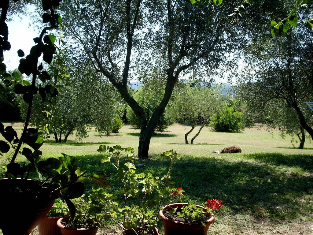 Casa Santina Villa Girasole Oda fotoğraf