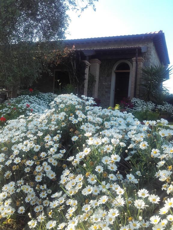 Casa Santina Villa Girasole Dış mekan fotoğraf